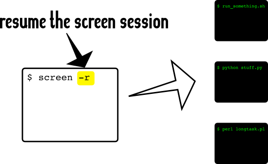 step 7